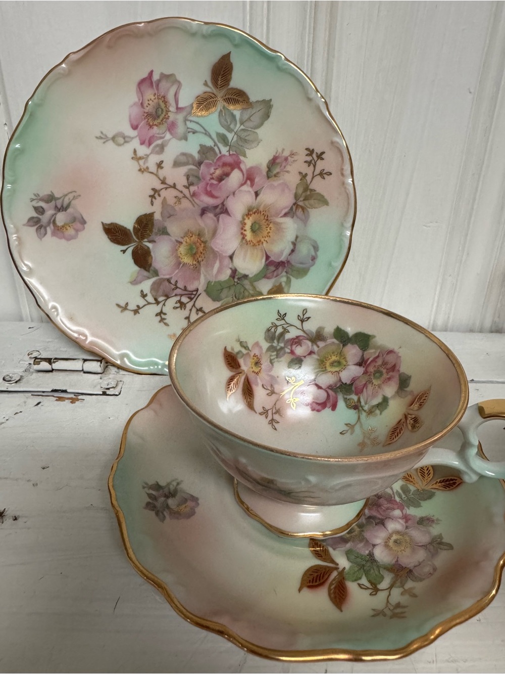 Vintage Schumann Arzberg Bavaria Teacup Trio - Hand-Painted Wild Rose Germany